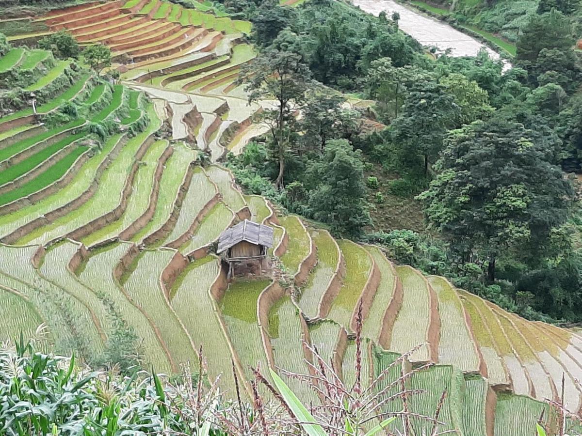 Dong Suoi H'Mong Homestay & Bungalow - Trek & Vegetarian Food Mu Cang Chai Esterno foto
