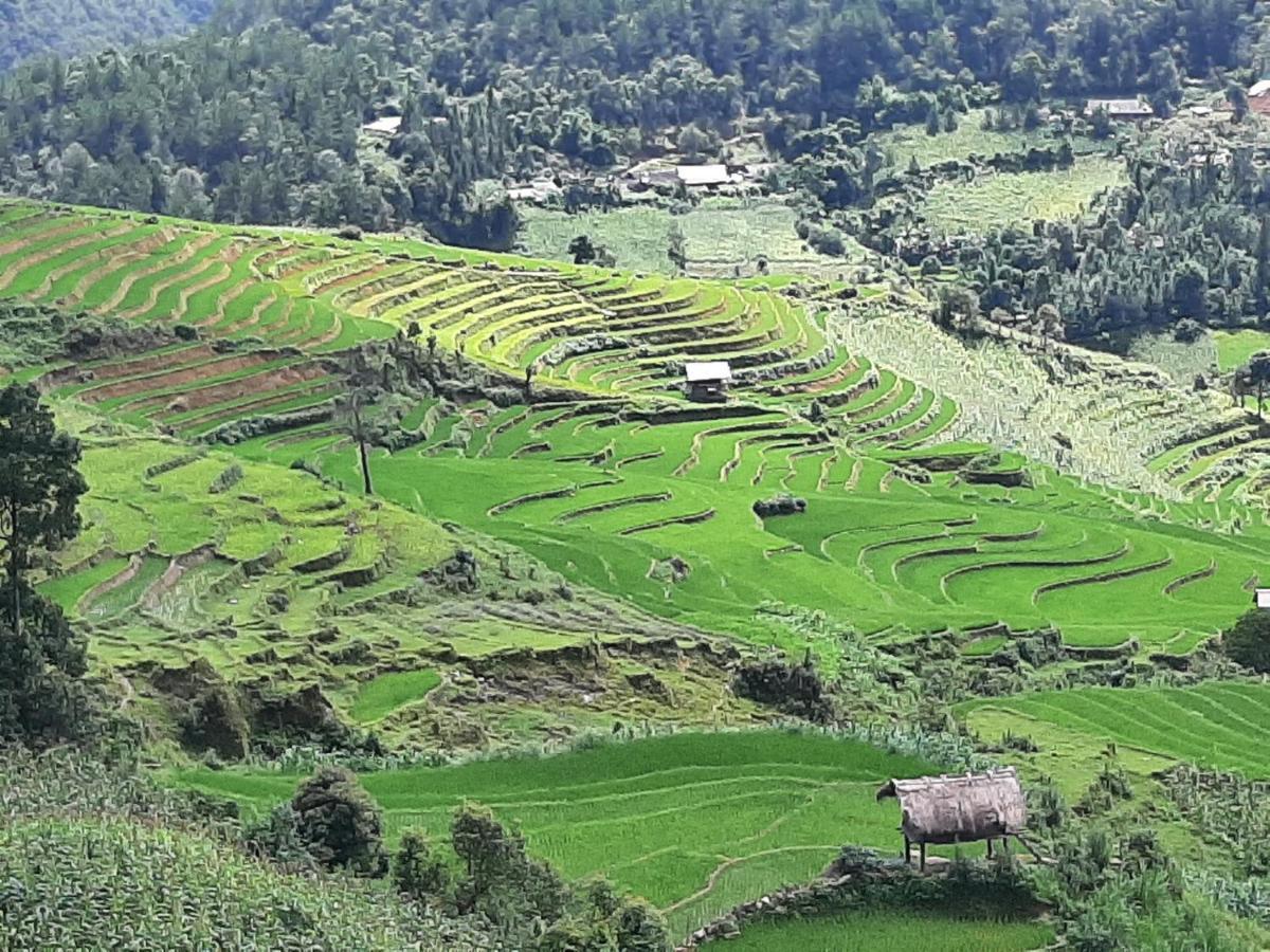 Dong Suoi H'Mong Homestay & Bungalow - Trek & Vegetarian Food Mu Cang Chai Esterno foto