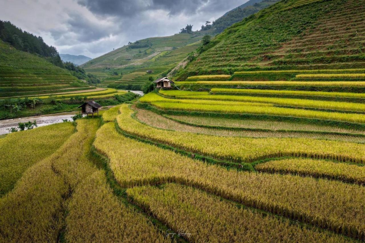 Dong Suoi H'Mong Homestay & Bungalow - Trek & Vegetarian Food Mu Cang Chai Esterno foto