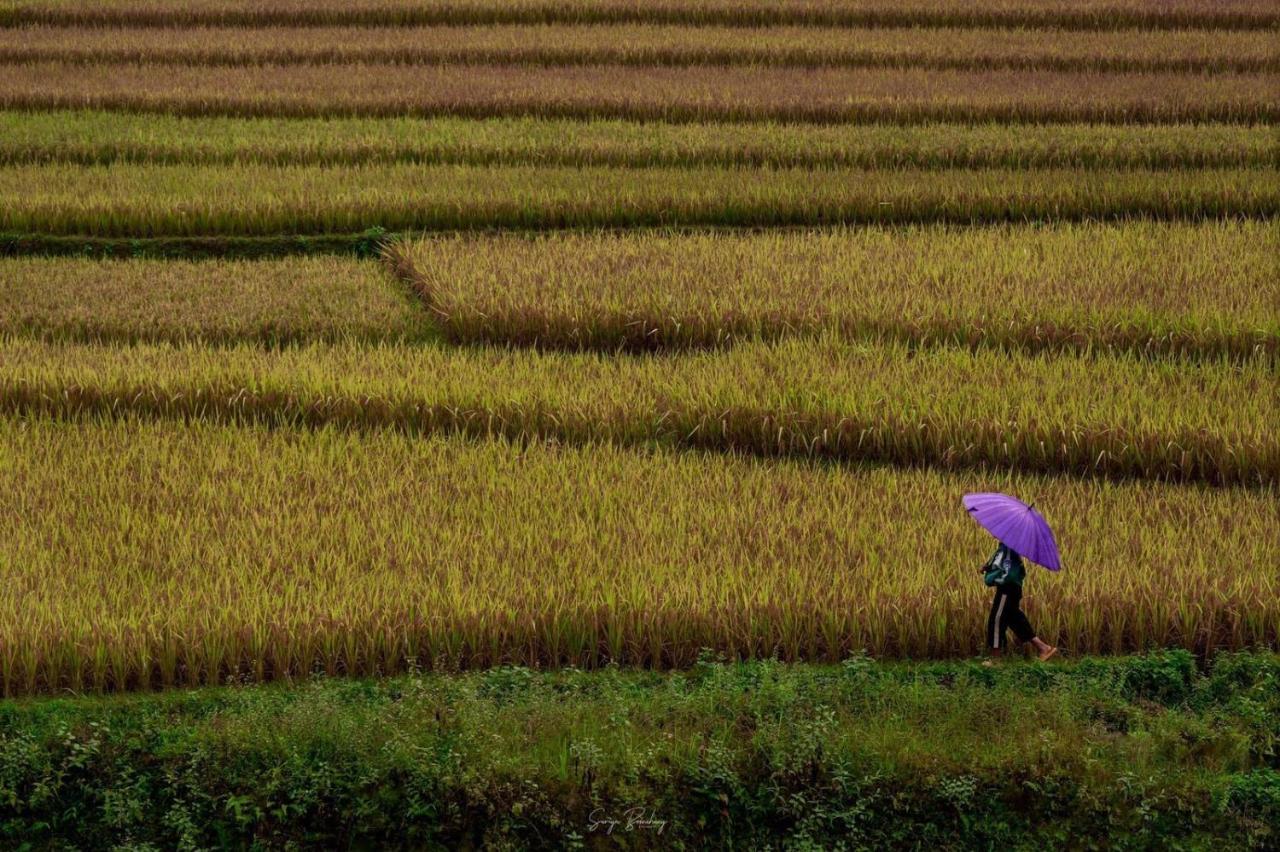 Dong Suoi H'Mong Homestay & Bungalow - Trek & Vegetarian Food Mu Cang Chai Esterno foto