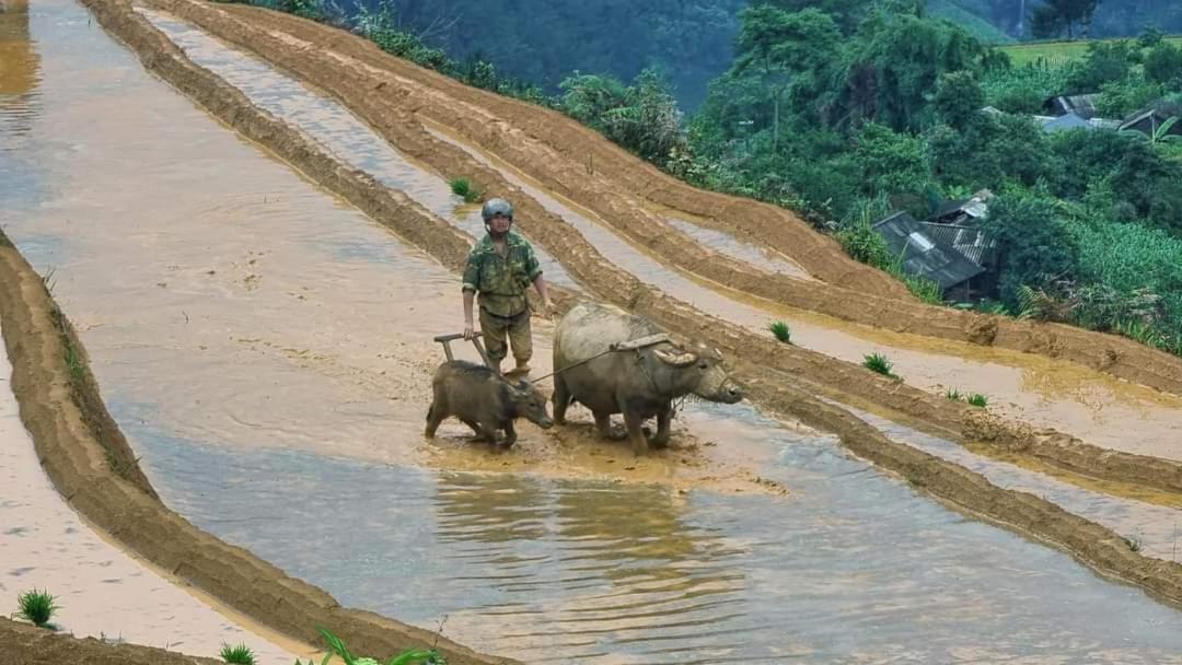 Dong Suoi H'Mong Homestay & Bungalow - Trek & Vegetarian Food Mu Cang Chai Esterno foto