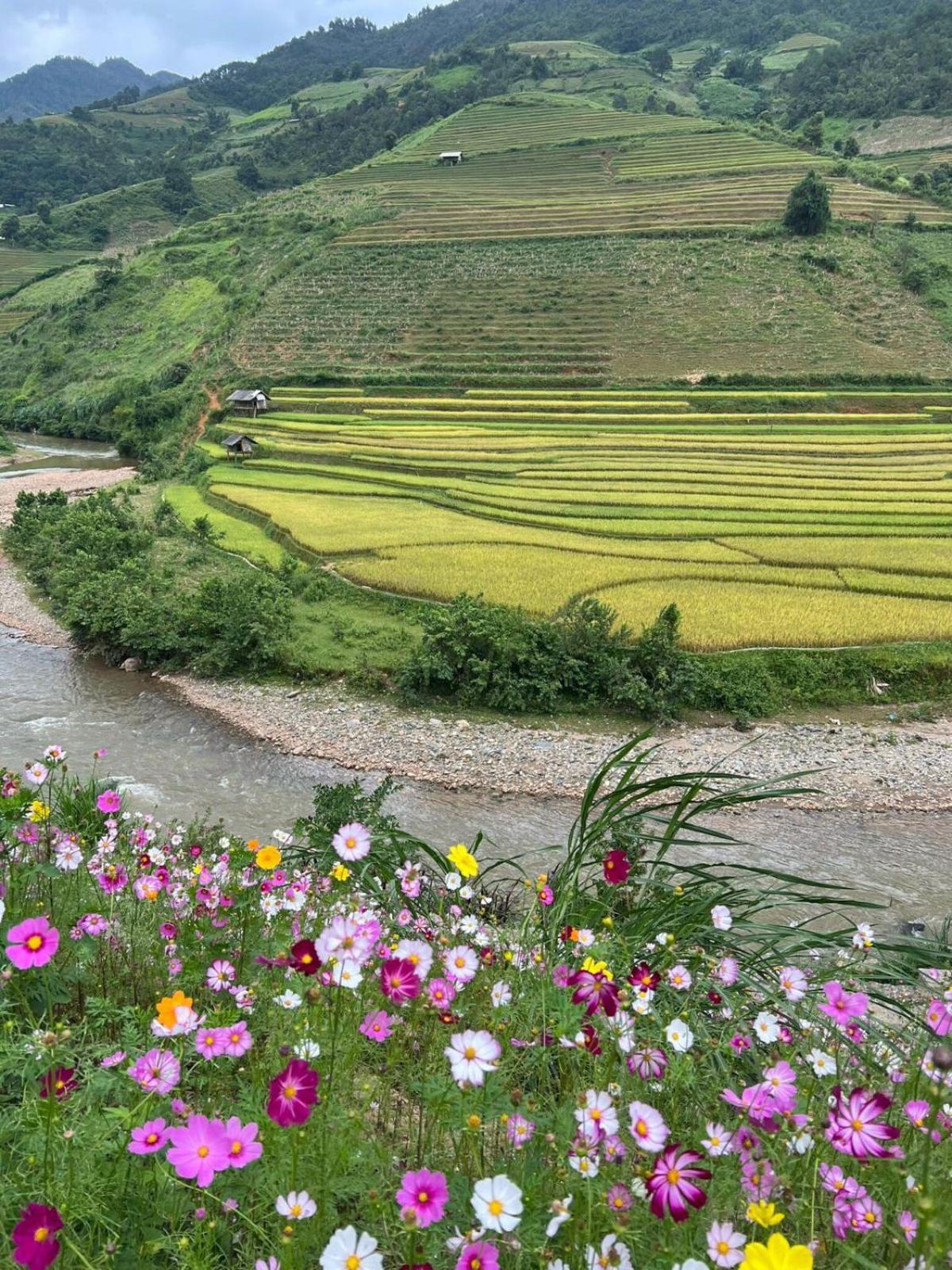 Dong Suoi H'Mong Homestay & Bungalow - Trek & Vegetarian Food Mu Cang Chai Esterno foto