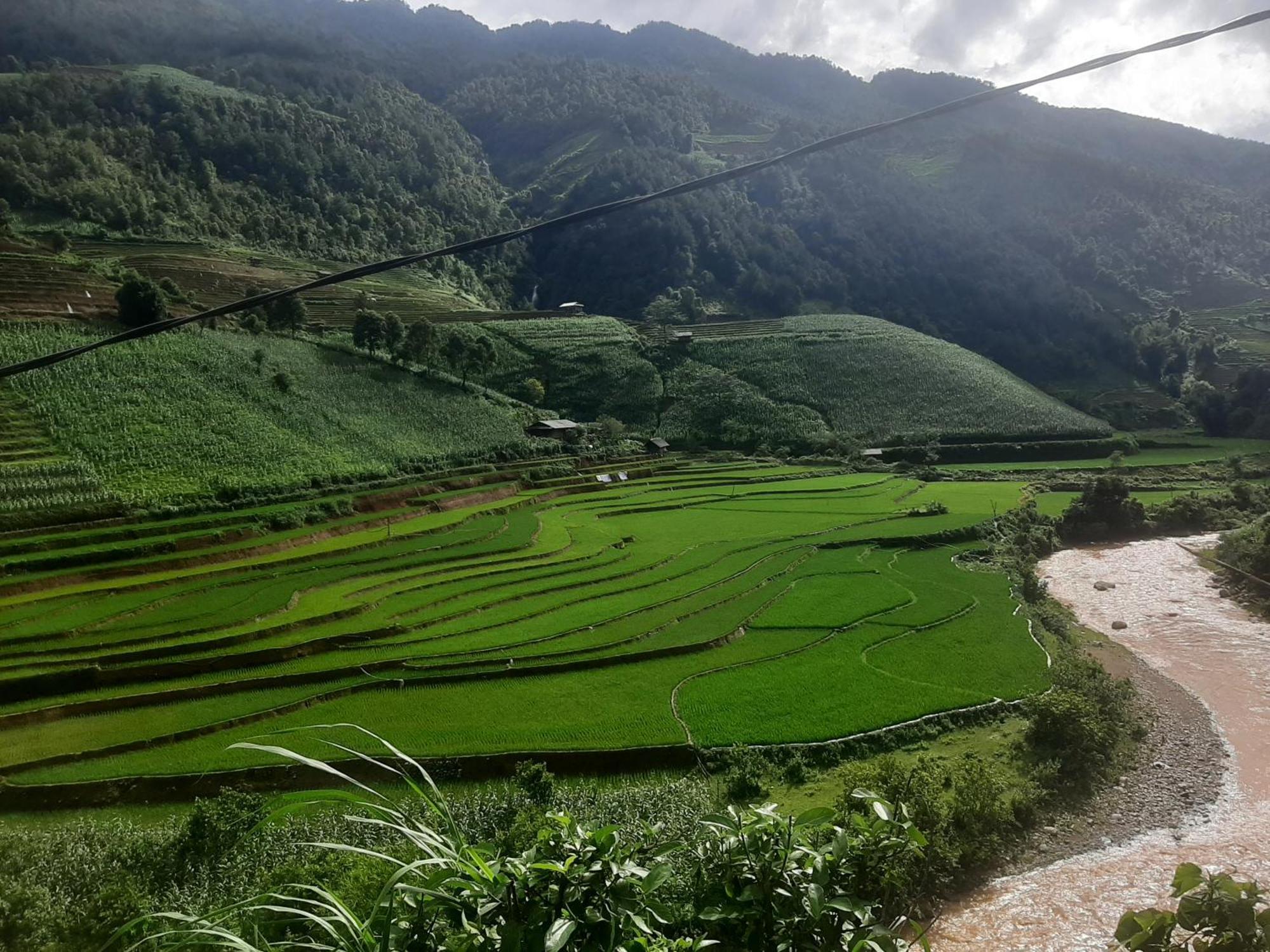 Dong Suoi H'Mong Homestay & Bungalow - Trek & Vegetarian Food Mu Cang Chai Esterno foto
